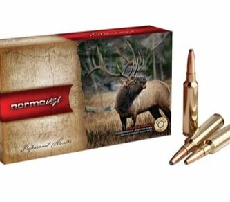 Norma 30-378 Weatherby Mag 180 Grain Oryx Bonded