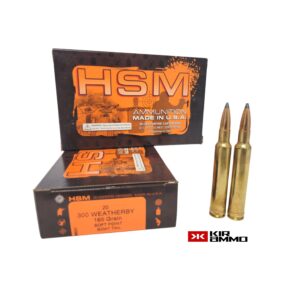 HSM-.300-Weatherby-165-Grain-Soft-Point-Boat-Tail-edit