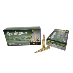 Remington CoreLokt .243 Win 95 Grain Tipped