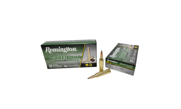 Remington CoreLokt .243 Win 95 Grain Tipped
