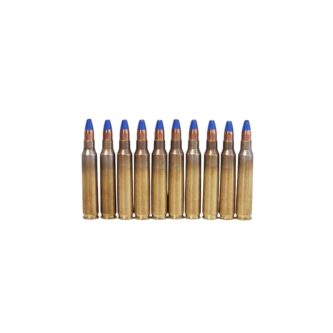 Paraklese .223 Rem Firestorm Incendiary 55 Grain Hollow Point – 10 Rounds (Bag)