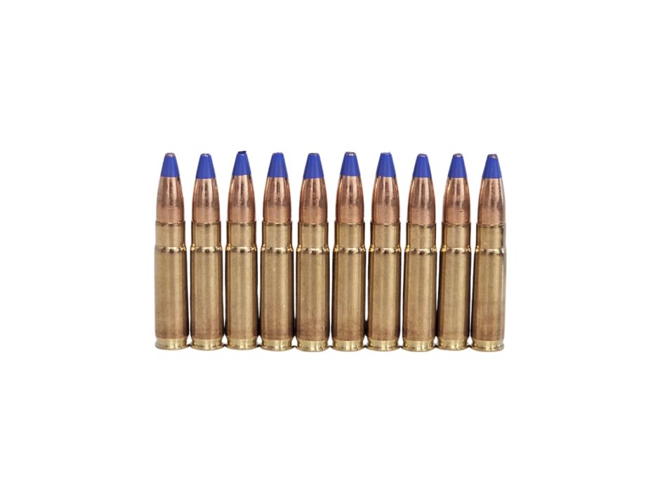 Paraklese .300 Blackout Firestorm Incendiary 124 Grain Hollow Point – 10 Rounds (Bag)